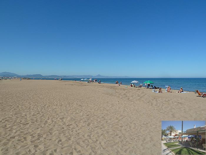 resort information for brisa